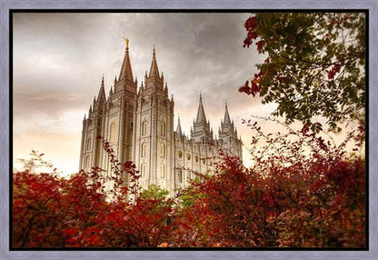 Salt Lake Autumn Trees Gallery Wrap