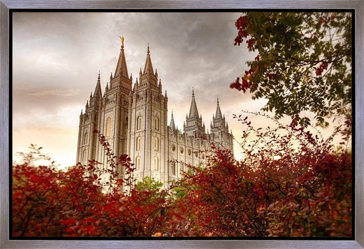 Salt Lake Autumn Trees Gallery Wrap