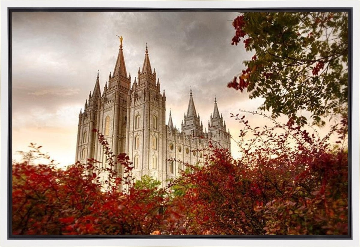 Salt Lake Autumn Trees Gallery Wrap