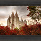 Salt Lake Autumn Trees