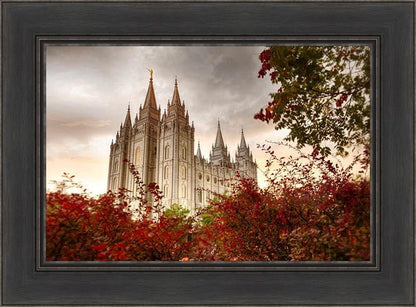 Salt Lake Autumn Trees