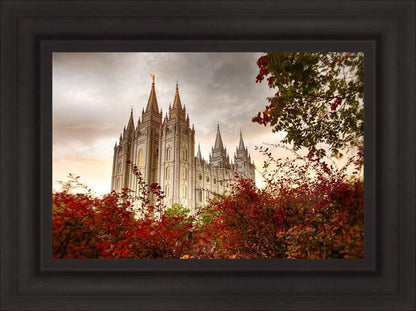 Salt Lake Autumn Trees