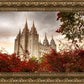 Salt Lake Autumn Trees