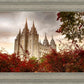 Salt Lake Autumn Trees
