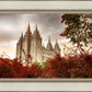 Salt Lake Autumn Trees