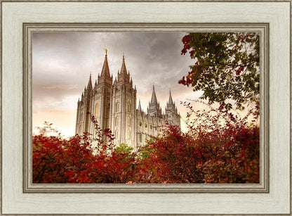 Salt Lake Autumn Trees