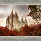 Salt Lake Autumn Trees