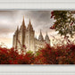 Salt Lake Autumn Trees