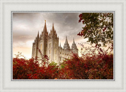 Salt Lake Autumn Trees