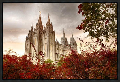 Salt Lake Autumn Trees Gallery Wrap
