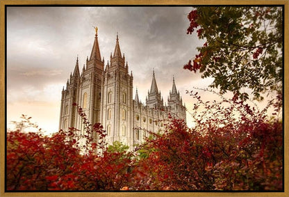 Salt Lake Autumn Trees Gallery Wrap