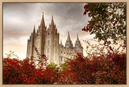 Salt Lake Autumn Trees Gallery Wrap