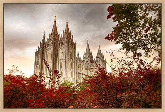 Salt Lake Autumn Trees Gallery Wrap