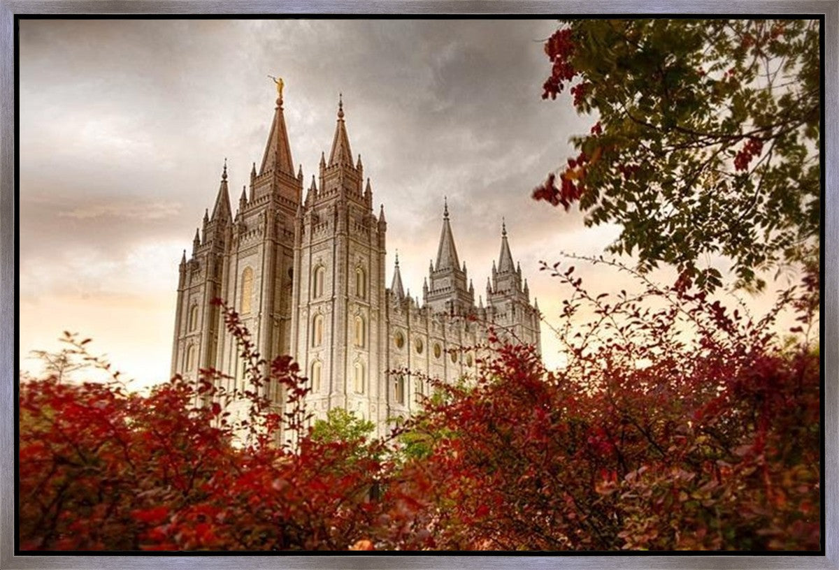 Salt Lake Autumn Trees Gallery Wrap