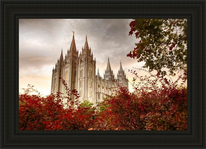 Salt Lake Autumn Trees