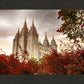 Salt Lake Autumn Trees