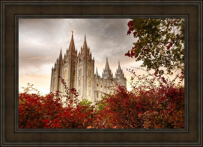 Salt Lake Autumn Trees