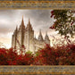 Salt Lake Autumn Trees