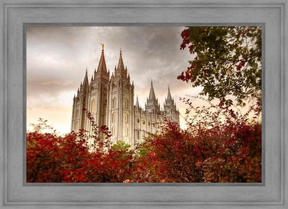 Salt Lake Autumn Trees