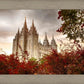 Salt Lake Autumn Trees