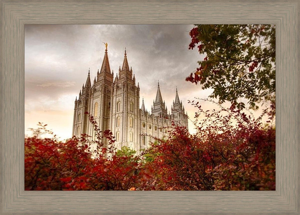 Salt Lake Autumn Trees