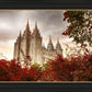 Salt Lake Autumn Trees