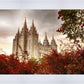 Salt Lake Autumn Trees
