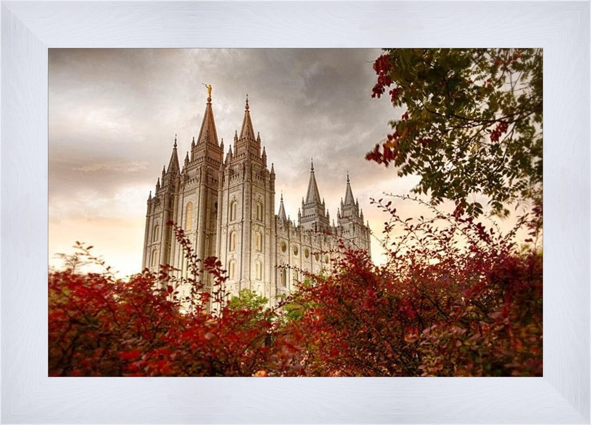 Salt Lake Autumn Trees