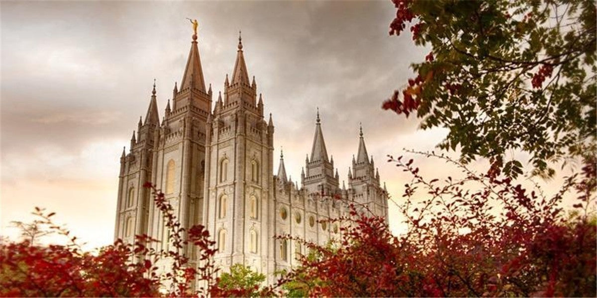 Salt Lake Autumn Trees Gallery Wrap