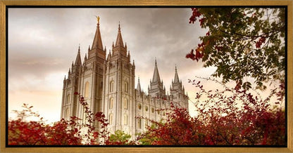 Salt Lake Autumn Trees Gallery Wrap