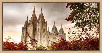 Salt Lake Autumn Trees Gallery Wrap