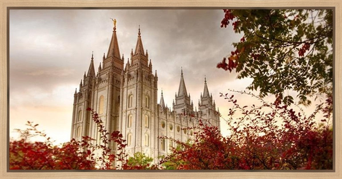 Salt Lake Autumn Trees Gallery Wrap