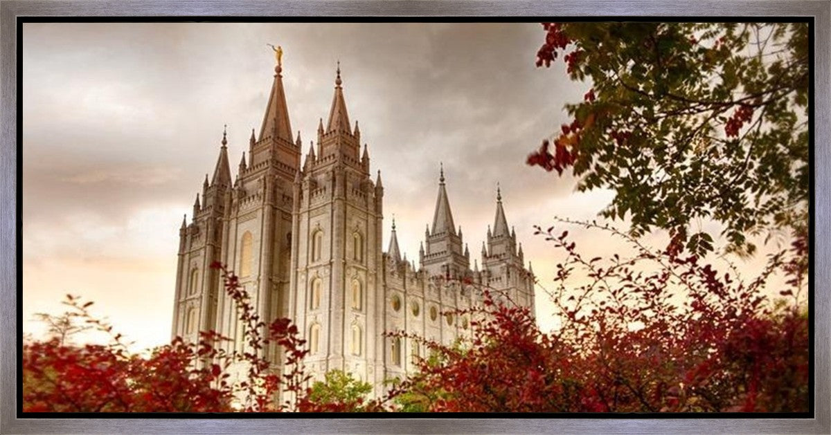 Salt Lake Autumn Trees Gallery Wrap