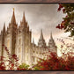 Salt Lake Autumn Trees