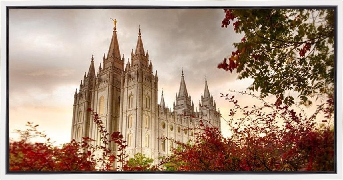 Salt Lake Autumn Trees Gallery Wrap
