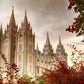 Salt Lake Autumn Trees
