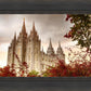 Salt Lake Autumn Trees