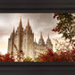 Salt Lake Autumn Trees