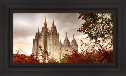 Salt Lake Autumn Trees