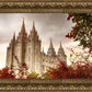 Salt Lake Autumn Trees