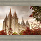 Salt Lake Autumn Trees