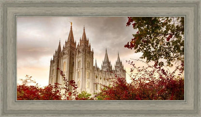 Salt Lake Autumn Trees