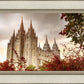 Salt Lake Autumn Trees