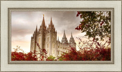 Salt Lake Autumn Trees