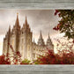 Salt Lake Autumn Trees