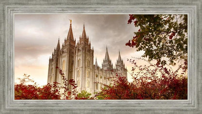 Salt Lake Autumn Trees