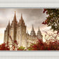 Salt Lake Autumn Trees