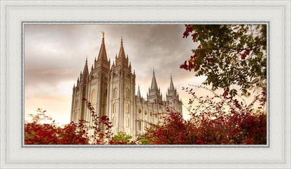 Salt Lake Autumn Trees