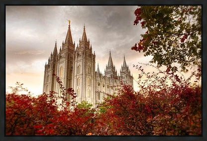 Salt Lake Autumn Trees Gallery Wrap