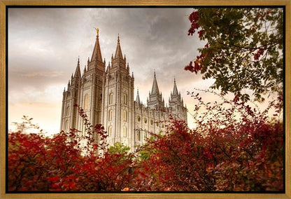 Salt Lake Autumn Trees Gallery Wrap